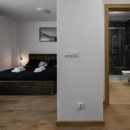 Apartment Apartament Studio Cicha 12 Parking Krynica Zdroj
