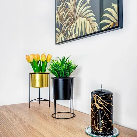 Cicha 12 Parking Krynica-Zdrój