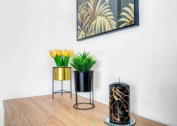 Cicha 12 Parking Krynica Zdroj